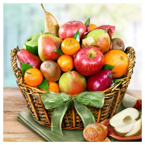 Purim Bountiful Fruit Harvest