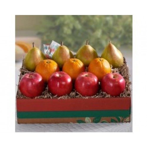 Hanukkah Island Coast Trio Grande Fruit Gift