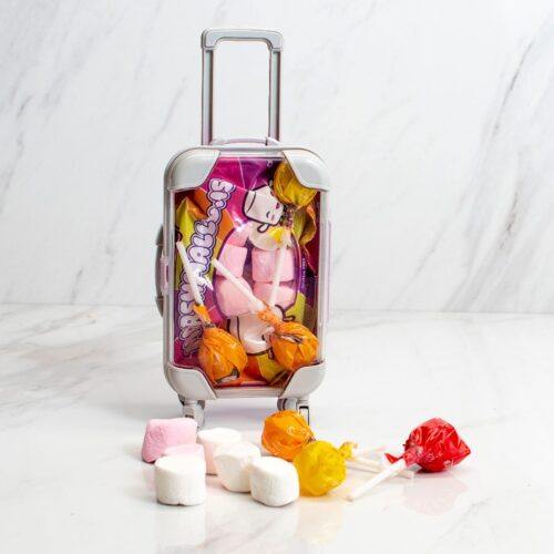 Kid's Treats Toy Passover Suitcase Set - Kosherline