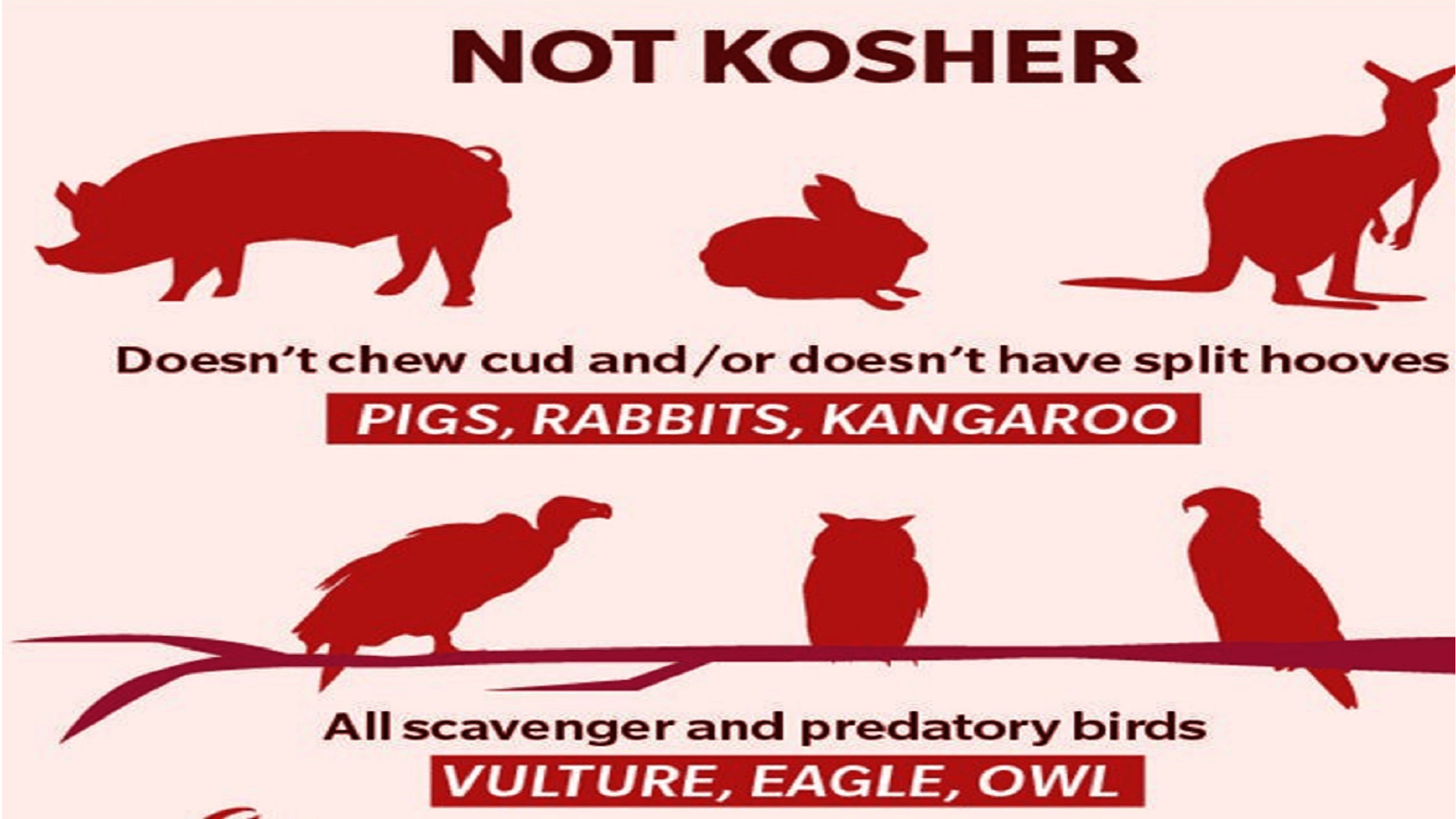 Kosher Animals
